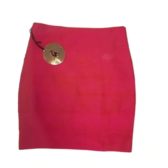 Passion Fusion Hot Pink Tiered Stretch Mini Skirt Size Small - Picture 5 of 9